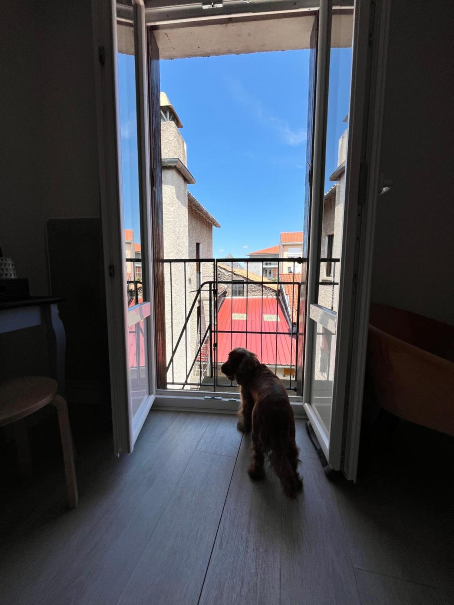 Hotel Du Nord - Ville-Haute Saint-Flour  Εξωτερικό φωτογραφία